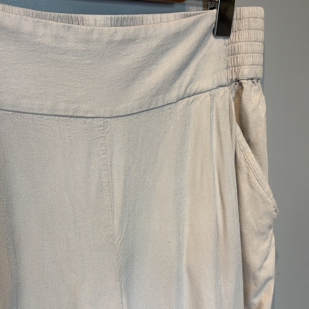 Aritzia Sunday Best Sullivan Pants in Dove Grey Wide Leg and Cropped - Picture 6 of 8